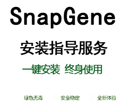 snapgene引物设计