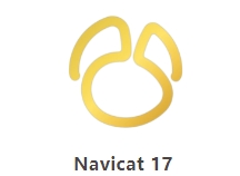 Navicat 17 新特性 -原生支持 Linux ARM 平台以及银河麒麟和统信操作系统