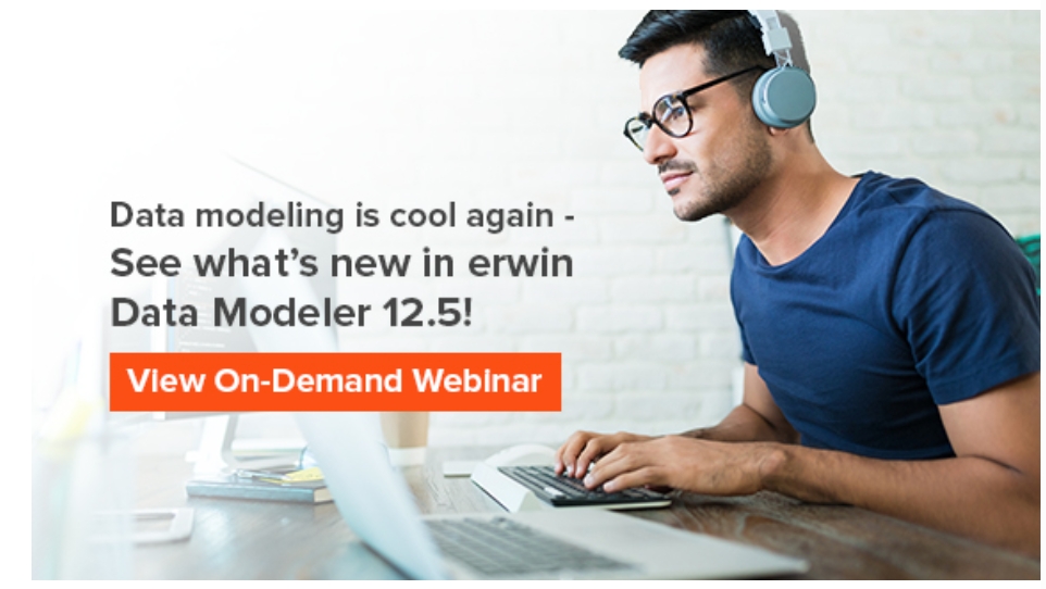 erwin Data Modeler 版本