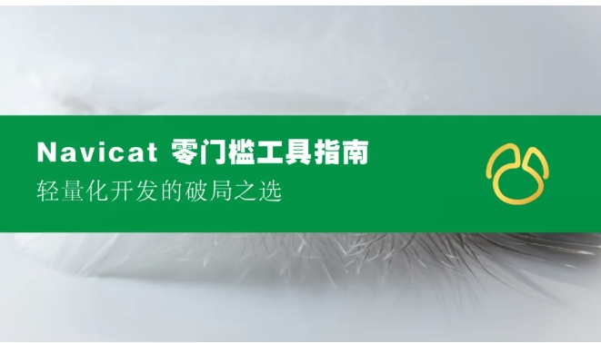 Navicat 零门槛工具指南：轻量化开发的破局之选