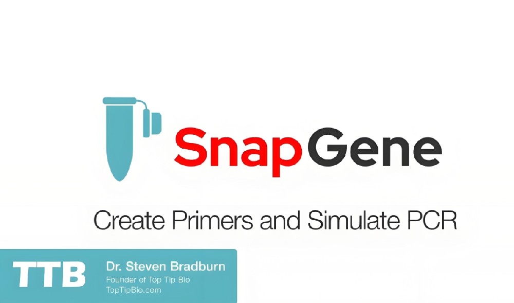 snapgene官网多少钱