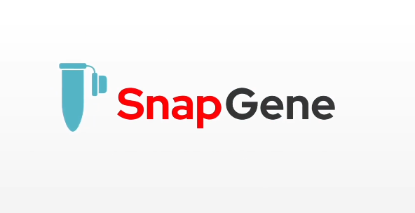 SnapGene官方版(分子生物学工具)