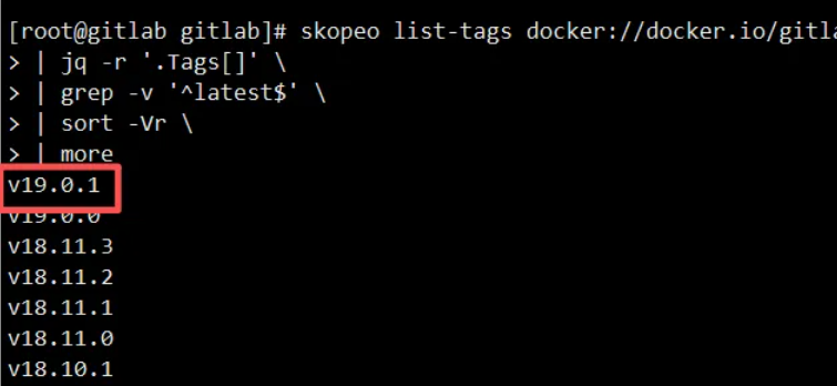 GitLab Runner安装指南